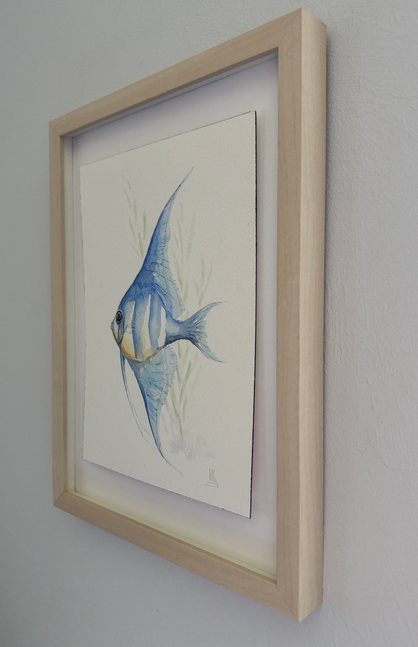 Angel Fish Watercolor