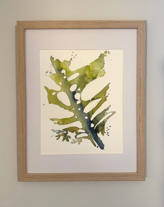 The Monstera