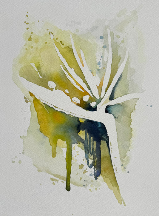 Bird of Paradise