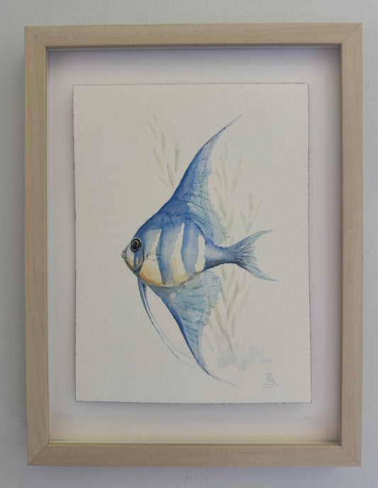Angel Fish Watercolor