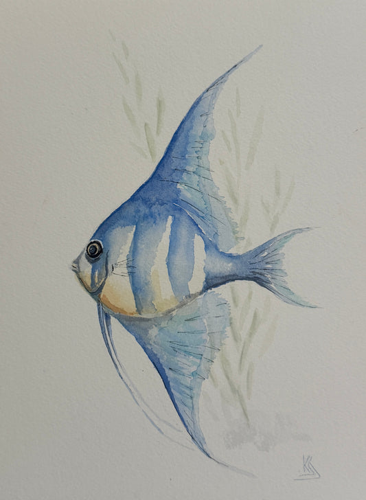Angel Fish Watercolor