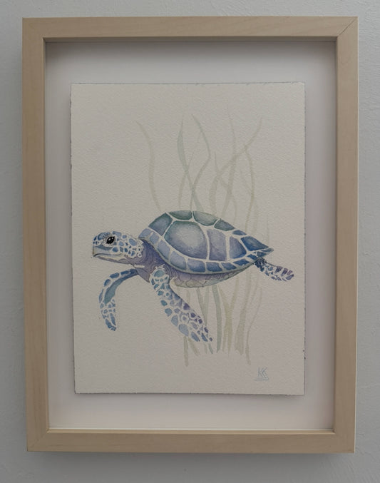 Sea Turtle