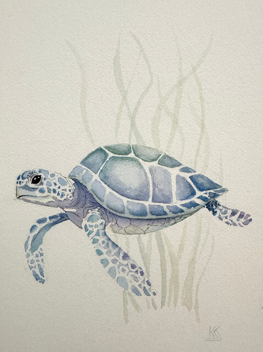 Sea Turtle